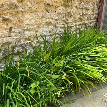 Headington, Oxford, An Entire 2Bed, Free Wi-Fi, Free Parking Apartment Exterior photo
