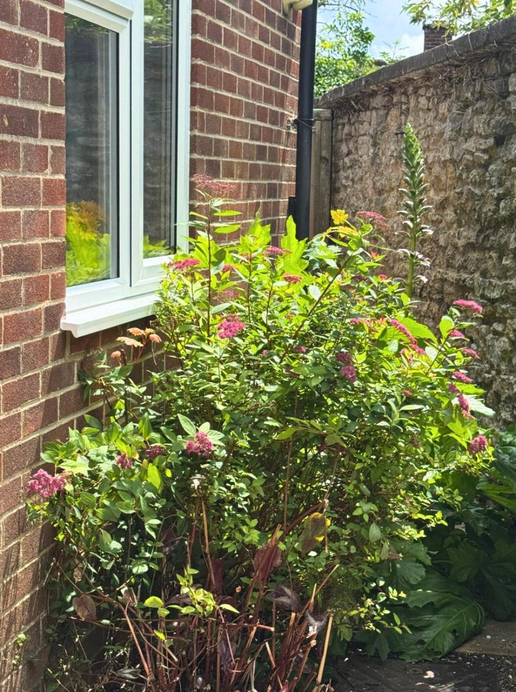 Headington, Oxford, An Entire 2bed, Free Wi-fi, Free Parking Appartement *